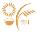 Rice. Set Royalty Free Stock Photo