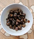 Rice snails (Pila ampullacea)