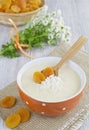 Rice soup with cream and dried apricots Royalty Free Stock Photo