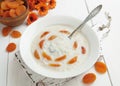 Rice soup with dried apricots Royalty Free Stock Photo