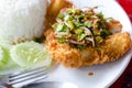 Rice with Spicy fried chicken salad Royalty Free Stock Photo