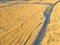 Rice spreading on the ground Royalty Free Stock Photo