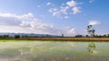 Rice sprouts field front of mountain and blue sky with white clouds reflection on water Royalty Free Stock Photo