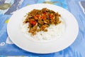 Rice with stir-fried minced pork with salted eggs on top
