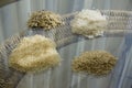 Rice on straw background Royalty Free Stock Photo