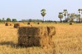 Rice straw bale Royalty Free Stock Photo