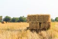 Rice straw bale Royalty Free Stock Photo