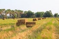 Rice straw bale Royalty Free Stock Photo