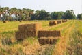 Rice straw bale Royalty Free Stock Photo