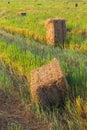 Rice straw bale shape. Royalty Free Stock Photo