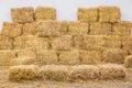 Rice straw bales