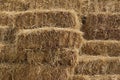 The background image is made from rice straw bales arranged in order to sell. Royalty Free Stock Photo