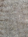 rice straw chaff wall background Royalty Free Stock Photo