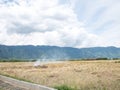 Rice Straw Open Field Burning On Paddy Farms Effected Air Pollutant Emissions Royalty Free Stock Photo