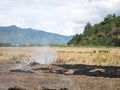 Rice Straw Open Field Burning On Paddy Farms Effected Air Pollutant Emissions Royalty Free Stock Photo