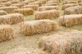 Rice straw pile