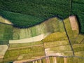 Rice and sugar cane fields in Southern China aerial Royalty Free Stock Photo