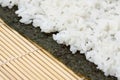 Rice on sushi nori Royalty Free Stock Photo