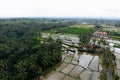 Rice Terrace Aerial Shot from drone. Image geometric of terrace rice field with water and palm trees in Ubud, Bali, Indonesia Royalty Free Stock Photo