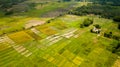 Rice Terrace Aerial Shot. Image of beautiful terrace rice field Royalty Free Stock Photo