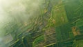 Rice Terrace Aerial Shot. Pictures of beautiful terraced rice fields in the morning when foggy in Lombok Royalty Free Stock Photo