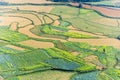 Rice terrace field in Ha giang province Royalty Free Stock Photo