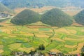 Rice terrace field in Ha giang province Royalty Free Stock Photo