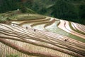 Rice terrace field at Three House Village, North West, Vietnam