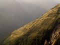 Rice Terrace Field