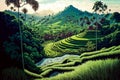 Rice terrace fields, oriental landscape illustration. Asian agriculture, china rural nature view