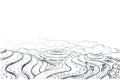 Rice terrace fields, vector sketch landscape illustration. Asian harvesting agriculture background. China rural nature