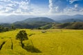 Rice terrace northern of Thailand Royalty Free Stock Photo