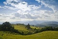 Rice terrace northern of Thailand Royalty Free Stock Photo