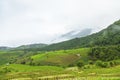 Rice terrace at Pa-pong-peang , Mae Chaem, Chaing Mai ,North Thailand