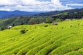 Rice Terrace in Pa Pong Piang, Chiang Mai