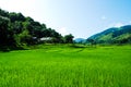 Rice terrace at Pid Thong Lang Phra royal project ,Nan