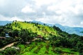 Rice terrace at Pid Thong Lang Phra royal project ,Nan