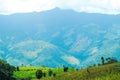 Rice terrace at Pid Thong Lang Phra royal project ,Nan