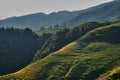 Rice terraced fields Wengjia longji Longsheng Hunan China Royalty Free Stock Photo