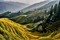 Rice terraced fields Wengjia longji Longsheng Hunan China Royalty Free Stock Photo