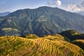 Rice terraced fields Wengjia longji Longsheng Hunan China Royalty Free Stock Photo