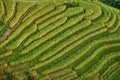 Rice terraced fields Wengjia longji Longsheng