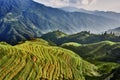 Rice terraced fields Wengjia longji Longsheng