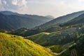 Rice terraced fields Wengjia longji Longsheng