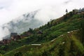 rice terraces