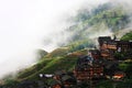 rice terraces