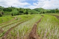 The rice terraces and agriculture filed of the countryside of Chiang Rai province the northern province in Thailand. Royalty Free Stock Photo