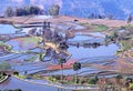 Rice terraces Royalty Free Stock Photo