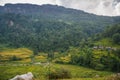 Rice terraces in Annapurna conservation area, Nepal