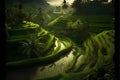 Rice terraces in Bali, Indonesia. 3D rendering